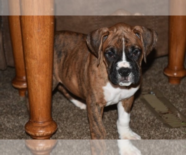 Medium Photo #1  Breeder Profile in YAKIMA, WA, USA