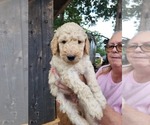Small #1 Breeder Profile image