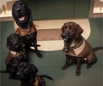 Small #6 Breeder Profile image