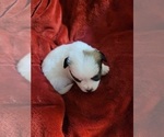 Small #115 Breeder Profile image