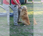 Small #8 Breeder Profile image