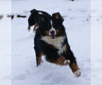 Small #4 Breeder Profile image