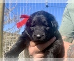 Small #40 Breeder Profile image