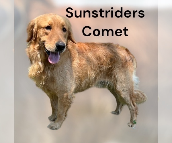 Medium Photo #27  Breeder Profile in NEOLA, WV, USA