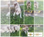 Small #5 Breeder Profile image