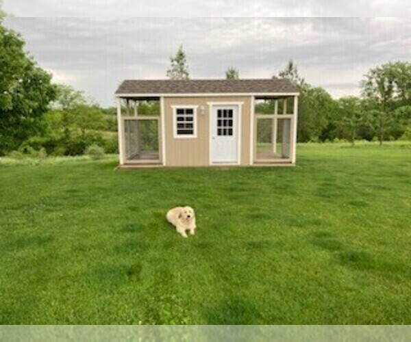 Medium Photo #1  Breeder Profile in CONGERVILLE, IL, USA