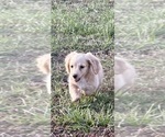 Small #3 Breeder Profile image