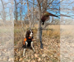 Small #4 Breeder Profile image