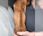 Small #40 Breeder Profile image