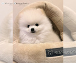 Small #34 Breeder Profile image