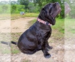 Small #24 Breeder Profile image