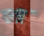 Small #299 Breeder Profile image