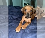 Small #58 Breeder Profile image