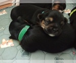 Small #23 Breeder Profile image
