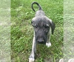 Small #29 Breeder Profile image