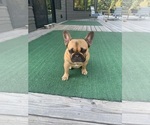 Small #25 Breeder Profile image