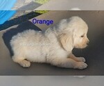 Small #7 Breeder Profile image