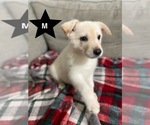 Small #4 Breeder Profile image