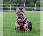 Small #3 Breeder Profile image