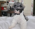 Small #11 Breeder Profile image