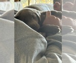 Small #2 Breeder Profile image