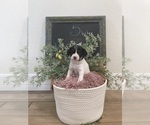 Small #6 Breeder Profile image