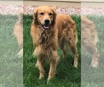 Small breeder photo