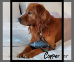 Small #15 Breeder Profile image