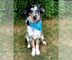 Small #7 Breeder Profile image