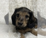 Small #7 Breeder Profile image