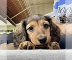 Small #27 Breeder Profile image