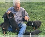 Small #4 Breeder Profile image
