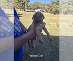 Small #45 Breeder Profile image