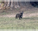 Small #27 Breeder Profile image