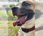 Small #5 Breeder Profile image