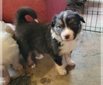 Small #13 Breeder Profile image