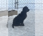 Small #1 Breeder Profile image