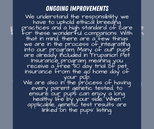 Medium Photo #8  Breeder Profile in GOSHEN, IN, USA