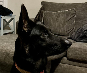 Medium Breeder Profile Photo