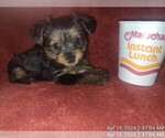 Small #177 Breeder Profile image