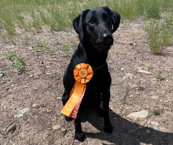 Medium Photo #1  Breeder Profile in MISSOULA, MT, USA