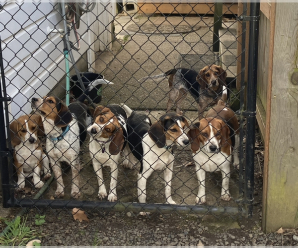 Full screen Photo #1  Breeder Profile in BROWNSVILLE, OR, USA