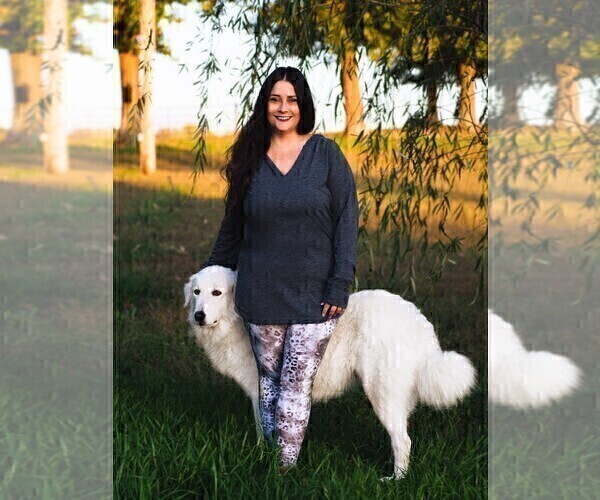 Medium Photo #28  Breeder Profile in CONWAY, MO, USA