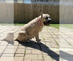 Small #14 Breeder Profile image