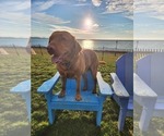 Small #40 Breeder Profile image