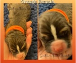 Small #7 Breeder Profile image