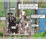 Small #2 Breeder Profile image