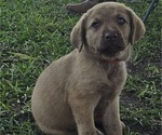 Small #11 Breeder Profile image