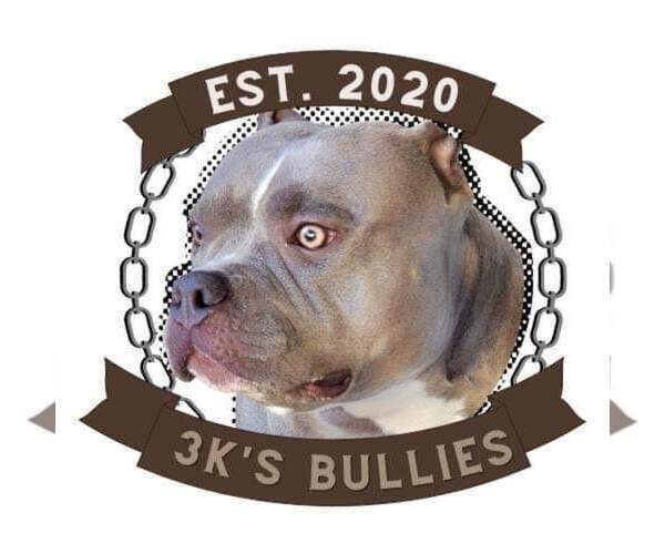 Medium Photo #1  Breeder Profile in ROCKVILLE, MD, USA