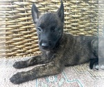 Small #10 Breeder Profile image